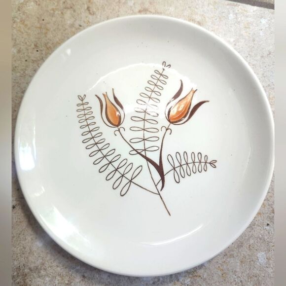 Vintage Mint 20 Pc. Dinnerware Set For 4 MCM '50s Royal China Inc."Tanglewood" - Picture 5 of 7